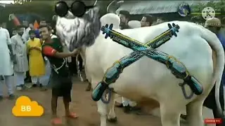 Ruok FF Cow Be Like 😂 #short #shorts