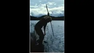 Living in the Mesolithic by Caroline Wickham-Jones