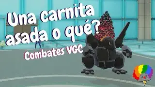 🔥 COALOSSAL con SEGURO DEBILIDAD ggggg 👌 VGC  s.3 👑 Pok&eacute;mon Escarlata🍊 P&uacute;rpura🍇