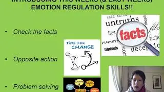 DBT Skills - Emotion Regulation 4