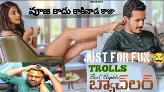 most eligible bachelor troll, star devils