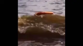 Pizza floating meme blink 182