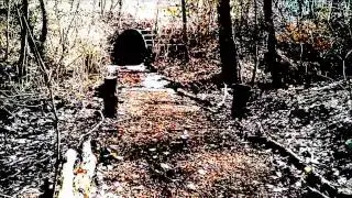 A Quiet Stroll