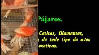 F&aacute;brica de Jaulas, Rub&eacute;n Santel&iacute;ces en www deShopping cl