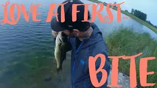 fish kiss swimbait bass