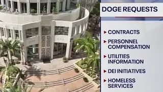 Florida DOGE auditors review Orlando&rsquo;s finances
