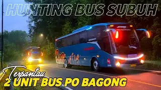 HUNTING BUS TELOLET SUBUH DI TANJAKAN T3PUNG K4NJOET