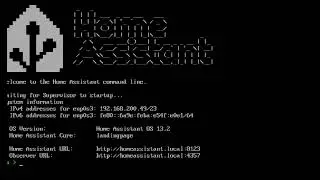 HomeAssistant Install and Add On  (1)