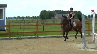 Springpaard Bo