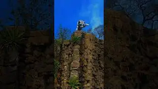 zoo ....❣️❣️ #remix #funk #shorts #zoo #vlog #tiger #editing  #music #vlog #masti #blogger #mela