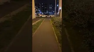 Курьез