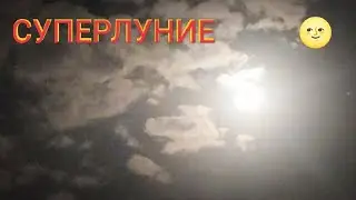 #СУПЕРЛУНИЕ 🌝 в Украине - Полная Голубая #Луна 30 августа 2023 - Super #Moon Light 4k Nature Video