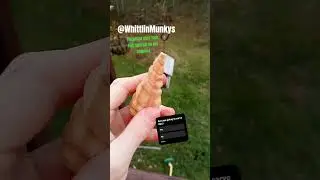 #subscribe #woodcarving #carving #foryou #folk #art #15yearold #christmas #diy #whittling #flatplane