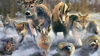 New Location, New Animals! - Hunting Clash Gameplay Ep97