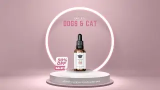 Discover the Ultimate CBD Collection at All American Network | Natural Wellness Solutions