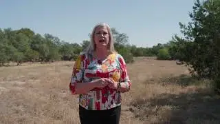 Dreaming of owning your own piece of Texas? 🌄 Spring Branch Tx