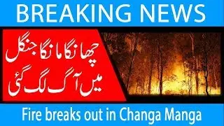 Fire breaks out in Changa Manga  | 2 May  2019 | 92NewsHD