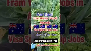 Fram worker jobs in Australia with free visa sponsorship 2025 Salary $31 Per hourly #shorts #