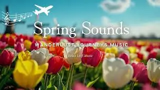 1 HOURS refreshing Netherlands Tulip fields | Lofi hiphop |  Background Music for Relax,Study,Work