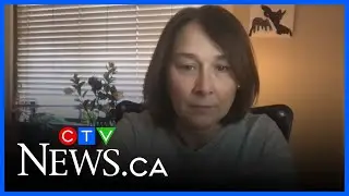 Calls and requests from women victims of domestic violence are rising exponentially in Quebec