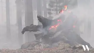 Fighting Utility Negligence in the Wake of the McKinney Fire | Watts Law Firm