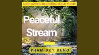 Peaceful Stream