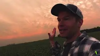 Intense Thunderstorms, Mammatus Clouds Illuminated By Sunrise Over Illinois