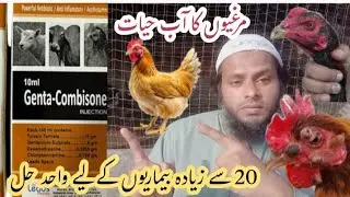 Genta-combisone injection ke istimal ka tarika | Genta-combison injection ko istimal karny me ahtiat