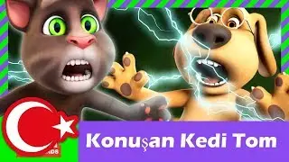 Konuşan Kedi Tom ve Arkadaşları 1  Sezon 5 bolüm