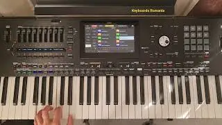 Korg Pa5X - Rock Category - few styles