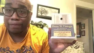 SHOCKING Before You Buy Bees &lsquo;N Things Carpenter Bee Trap Watch This Review Nest Hives Sound