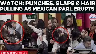 VIRAL PARLIAMENT FIGHT: FEMALE Lawmakers Pull Hair, Shove Rivals in Mexico City | World News