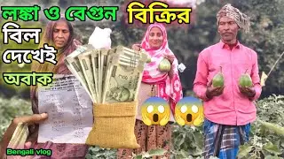 লঙ্কা ও বেগুন বিক্রিতে এত টাকা! বিল দেখেই অবাক 😱 | গ্রামের বাস্তব vlog।