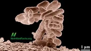 Preventing and Treating Diarrhea with Probiotics