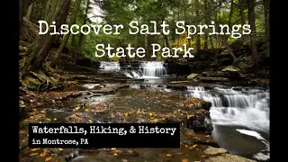 Discover Salt Springs State Park - Waterfalls, Hiking, and History in Montrose, PA