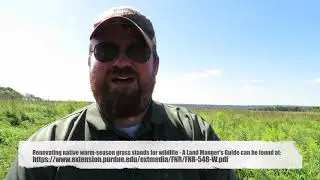 Sericea Lespedeza Control in Indiana - Part 1