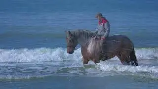 Ein April Nachmittag am Strand von Zoutelande  (Drohne und Fotos UHD / 4K).