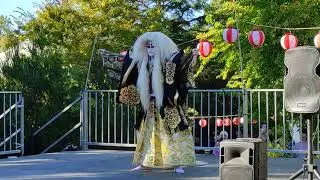 Japanese traditional dance Akimatsuri ⛩️🇯🇵 Shinjo Japan