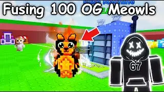 I Spent $100 Robux To Fuse Every OG MEOWL Mutation in Break a Lucky Block Roblox..