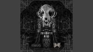 Enigmatic Mind 180