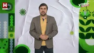 Елка в горшке в дом на Новый год 