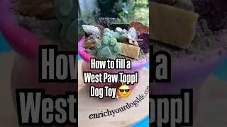 Change your Dog's Life: How to Use a West Paw Toppl