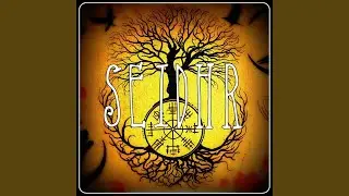 Seidhr