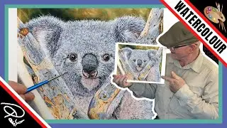 Koala Painting (Patreon 2024)