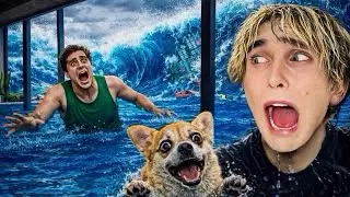 A TSUNAMI JUST HIT OUR HOUSE&hellip;😱🌊