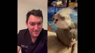 The only supplements your face needs - TikTok SkinDoc