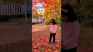 Дети узнают, почему листья меняют цвет 🍁