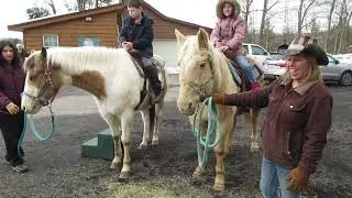 New York Maple Weekend 2023  #youtube #maplesyrup #newyork #subscribe #country #family #horses #fun