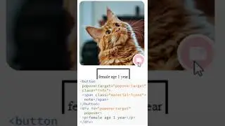 HTML popover