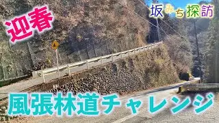 【坂#27】風張林道　東京屈指の激坂チャレンジ　〜坂みち探訪